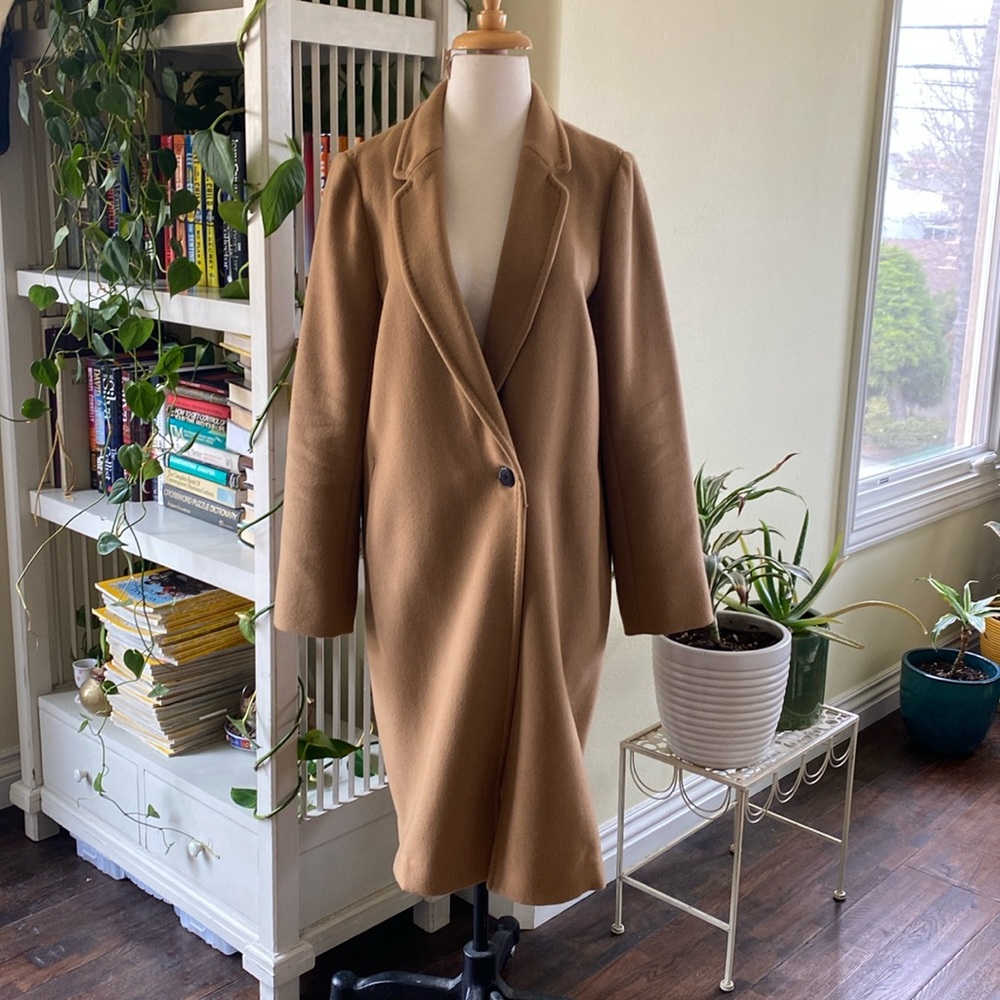 Babaton Brown Coat